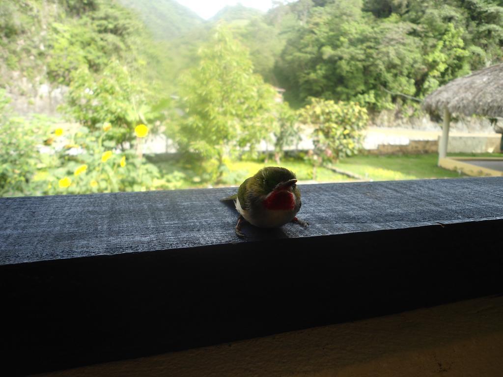 Conrado'S Guesthouse B&B Las Avispas Exterior foto
